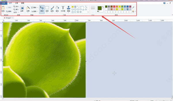 picpick中文绿色便携版