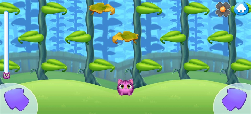 我要养猫最新版