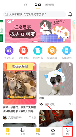 友猫宠物生活软件